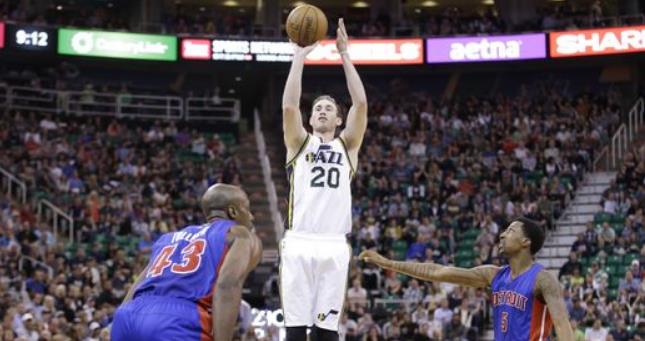 体对灰熊新 体对灰熊新